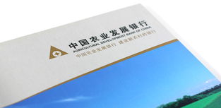 淄博畫冊(cè)設(shè)計(jì)與品牌形象塑造 輝盛企業(yè)形象設(shè)計(jì)公司的專業(yè)服務(wù)